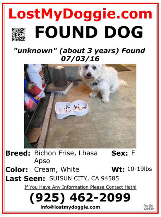 found dog flyer