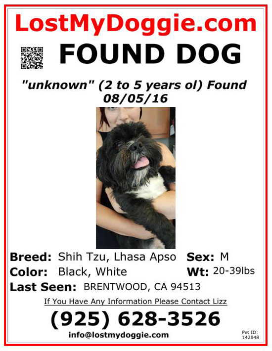found dog flyer