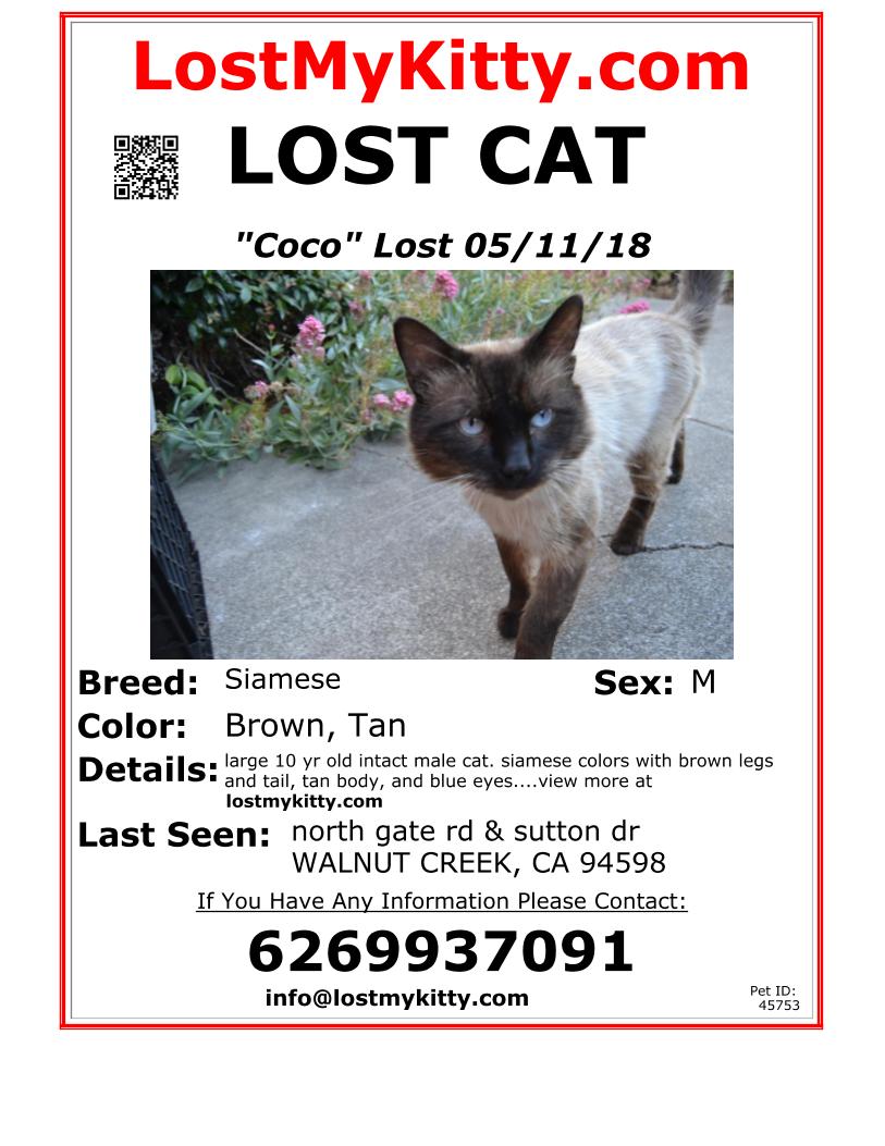 lost and found animals lost cat flyer