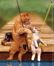 father and son cat fishing