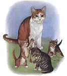victorian mom cat with kittens