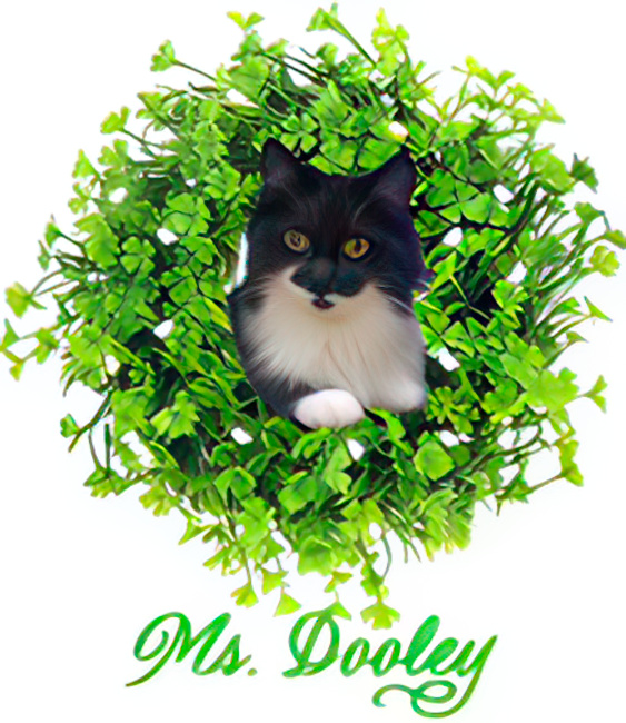 Ms. Dooley in Heart