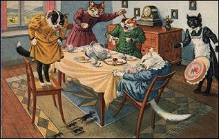 cat-tastrophic dinner